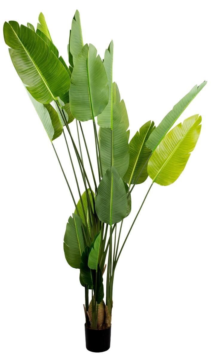 Flori artificiale DP Arborele Strelitzia 250 cm