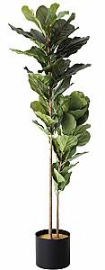 Flori artificiale DP Arbore Ficus lyrata 200