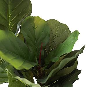 Flori artificiale DP Arbore Ficus lyrata 200