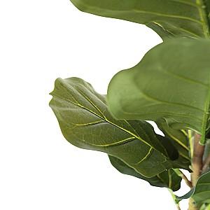 Flori artificiale DP Arbore Ficus lyrata 200