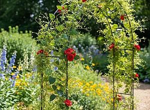  GardenLine PERG-N3214