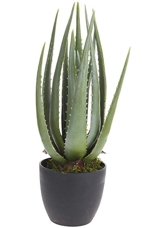 Flori artificiale Holland Aloe 45 cm