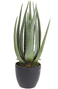 Flori artificiale Holland Aloe 45 cm