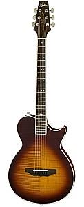 Chitara electro-acustica Aria Pro II APE-100 TS