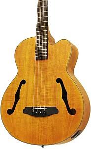 Chitara electro-acustica Aria FEB-F2M STBR