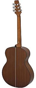 Chitara acustica Aria AF-10 N