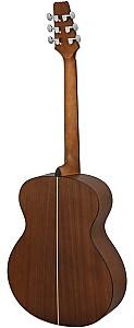 Chitara acustica Aria AF-10 MTN
