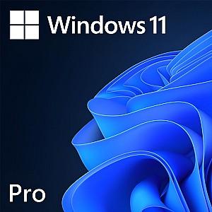 Sistem de operare Microsoft Windows 11 Pro 64 bit OEM English