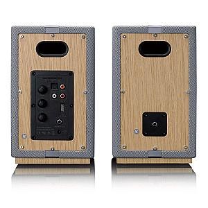 Boxe Lenco SPB-241WDGY