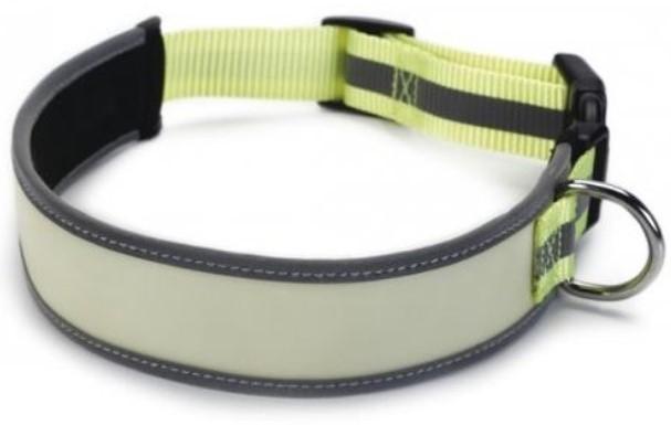 Zgarda pentru caini Beeztees Glow in the Dark (749824)