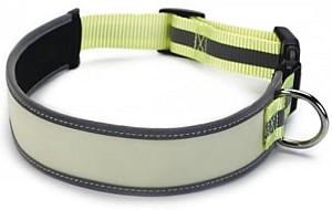 Zgarda pentru caini Beeztees Glow in the Dark (749824)