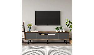Comoda Trendy Roma 180 Walnut/Anthracite