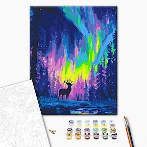 Tablou pe numere BrushMe Aurora polară (în cutie)