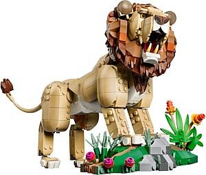 Constructor LEGO Creator 3-in-1 Animale sălbatice: Leul maiestuos