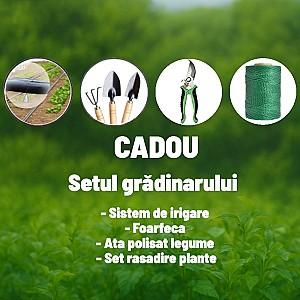 Seră de tip tunel Demetra 12m-3m-2.25m (66410)