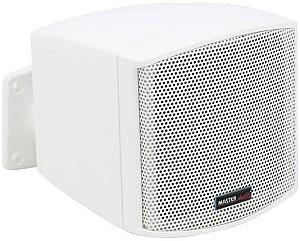 Sistem acustic profesional Master Audio MB200TW