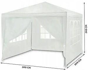 Cort Plonos 4936 (White)