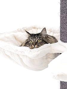 Ansamblu pentru pisici PETREBELS Maine Coon 117 OFF White