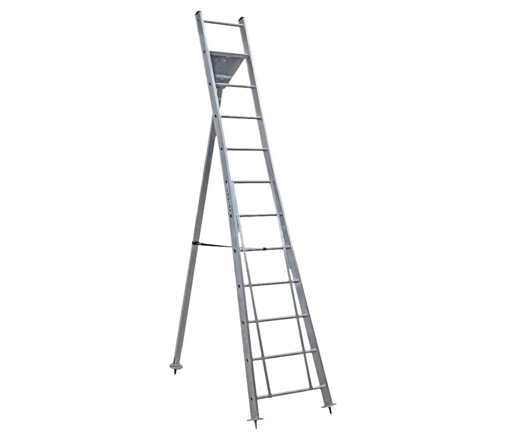 Scari CAGSAN BM30