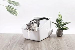 Tava pentru pisici Petkit Pura White