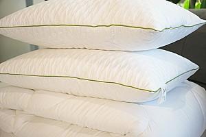 Plapuma Welpy Aloe Vera 200x220 + 2 perne