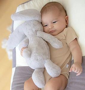 Jucarie de plus BABYJEM The Beast Bunny Grey