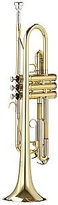 Trompeta Parrot 6416 L