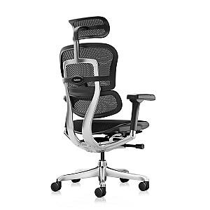 Fotoliu de birou Comfort Ergohuman Elite 2 Black (mesh/fabric)