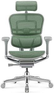 Fotoliu de birou Comfort Ergohuman Elite 2 Green