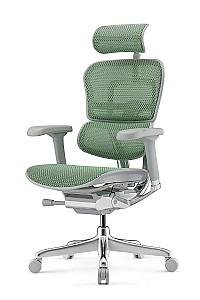 Fotoliu de birou Comfort Ergohuman Elite 2 Green
