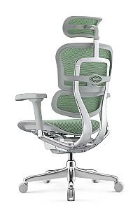 Fotoliu de birou Comfort Ergohuman Elite 2 Green