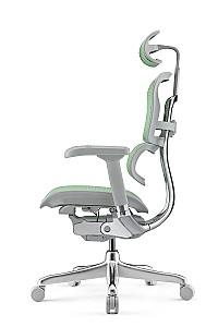 Fotoliu de birou Comfort Ergohuman Elite 2 Green