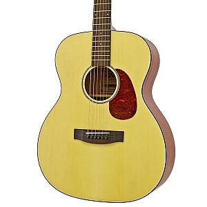 Chitara acustica Aria 101 MTN