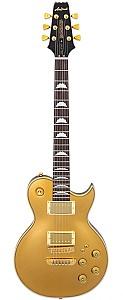 Chitara electrica Aria Pro II PE-F80 GDTR Gold Top