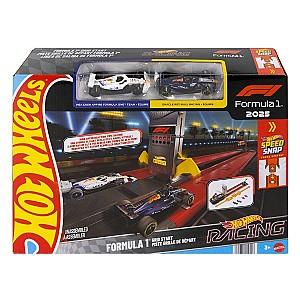  Hot Wheels Racing Formula1 (JNN35)