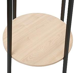 Cuier DP N2419
