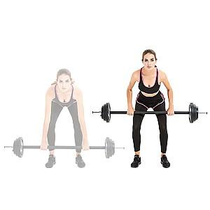 Haltera Insportline Pumpstar 18038