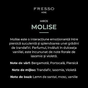 Aromatizator de aer FRESSO Molise 100 ml
