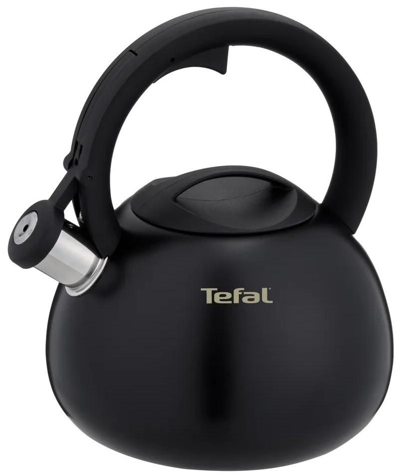Ceainic pentru aragaz TEFAL Duetto+ (N4180410)