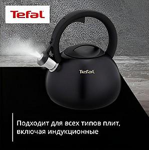 Ceainic pentru aragaz TEFAL Duetto+ (N4180410)