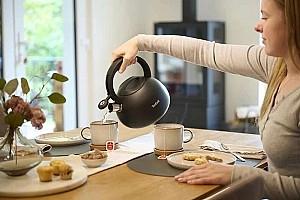Ceainic pentru aragaz TEFAL Duetto+ (N4180410)