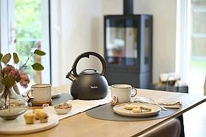 Ceainic pentru aragaz TEFAL Duetto+ (N4180410)