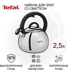 Ceainic pentru aragaz TEFAL Duetto+ (N4180310)