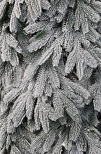 Brad artificial DIVI TREES American Snow Small 2.1