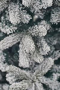 Brad artificial DIVI TREES Mont Blanc 1.5 m
