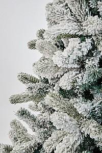 Brad artificial DIVI TREES Mont Blanc 4.5 m
