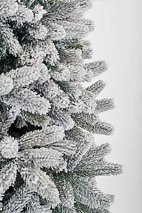 Brad artificial DIVI TREES Mont Blanc 4.5 m