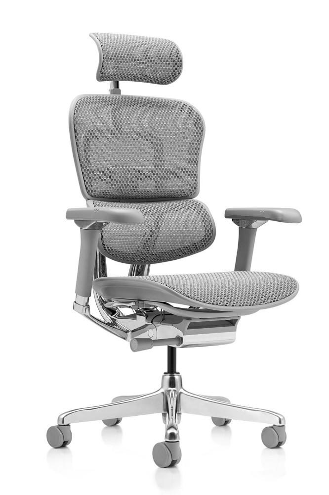 Fotoliu de birou ART Ergohuman Luxury 2 Natural T-168-B2 EHL2-AG-HAM-5D-D