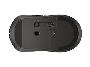 Mouse HP 405 Quiet Black