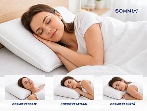 Perna Somnart Somnia Elite Damasc 50x70